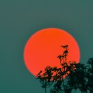 Sunset in Xixi